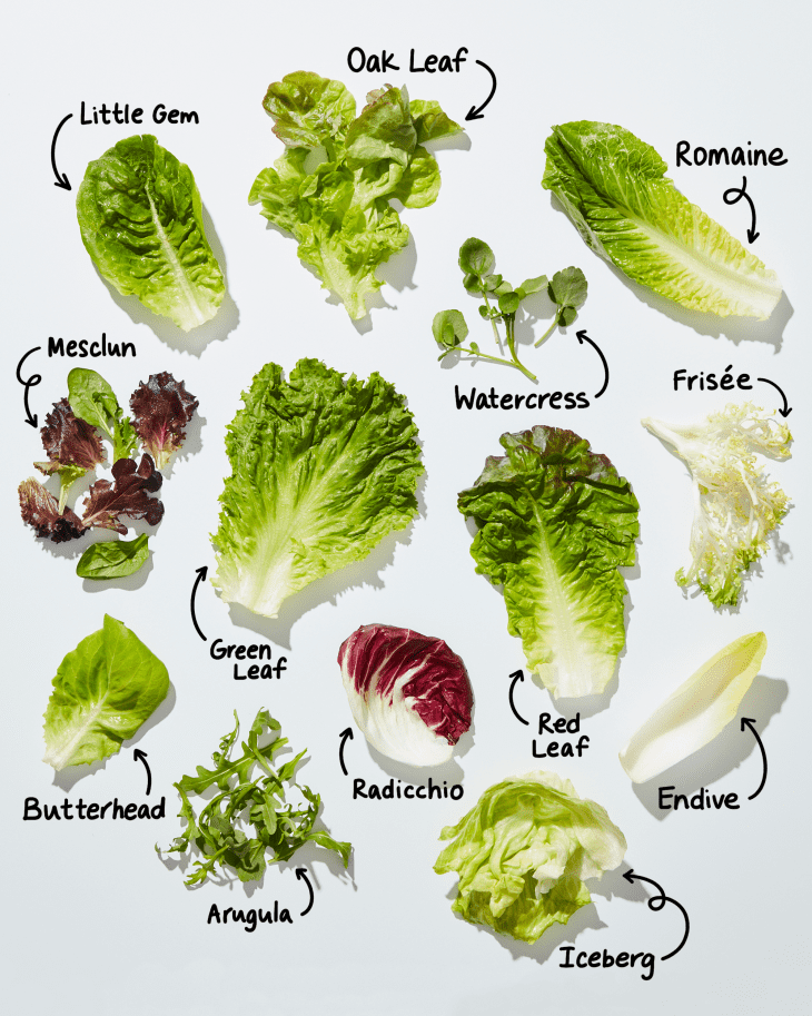 Types Of Lettuce A Visual Guide To Salad Greens The Kitchn